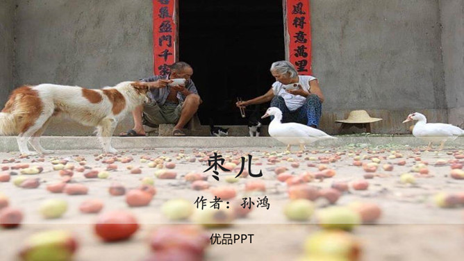枣儿PPT课件8