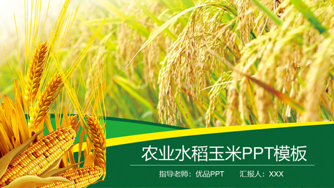 水稻玉米农业农产品PPT模板