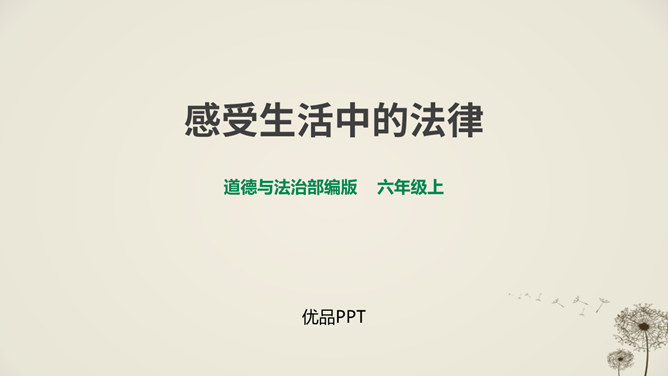 感受生活中的法律PPT课件5