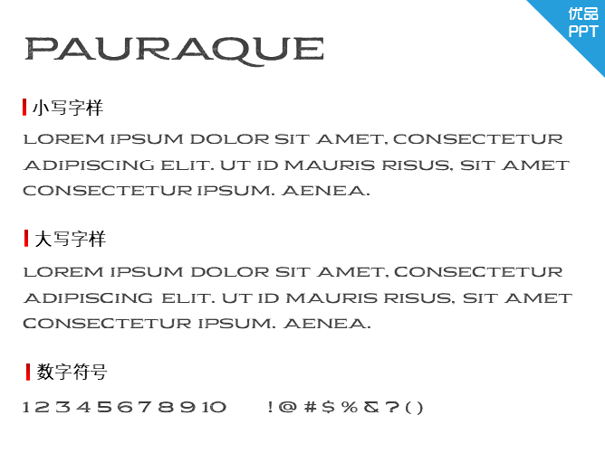 Pauraque_Serif_Rough