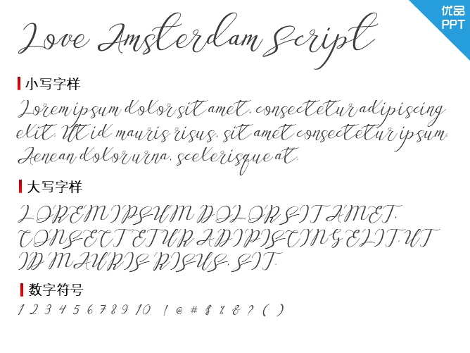 Love Amsterdam Script