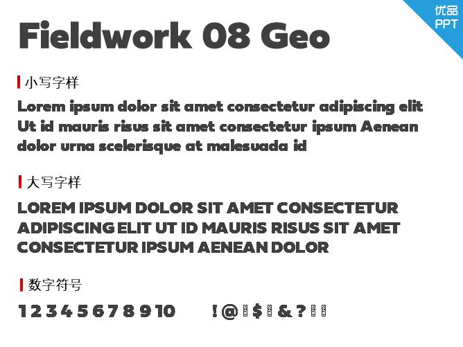 Fieldwork 08 Geo Fat DEMO