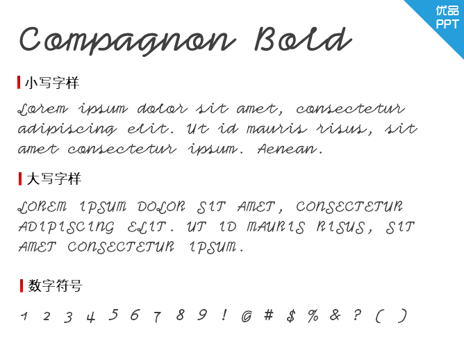 Compagnon Bold