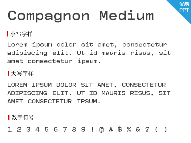 Compagnon Medium
