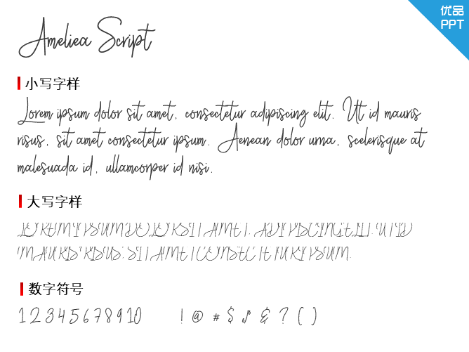 Ameliea Script