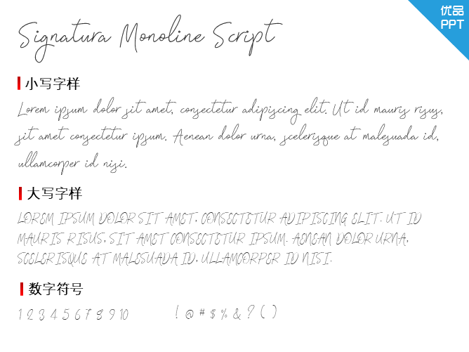 Signatura Monoline Script