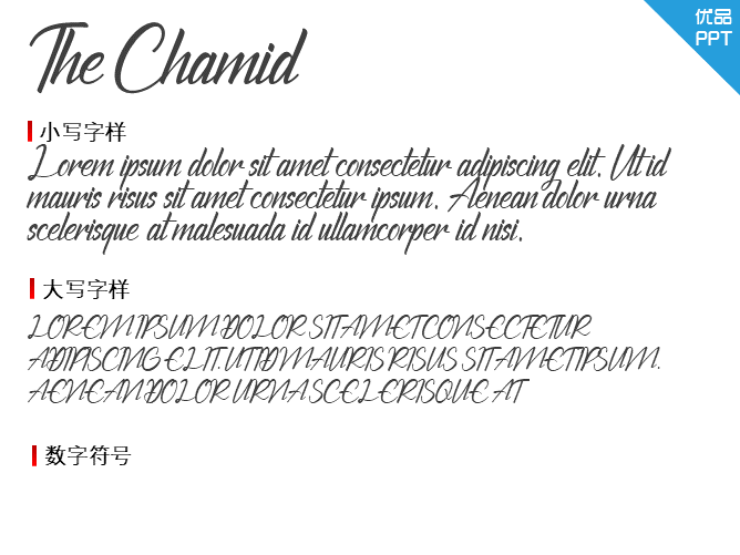 The Chamid Personal Use Only