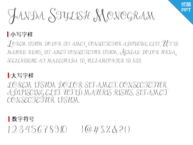 Janda Stylish Monogram
