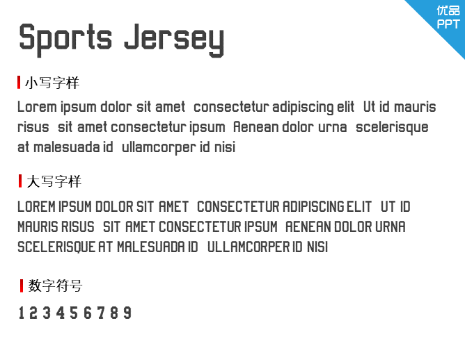 Sports Jersey