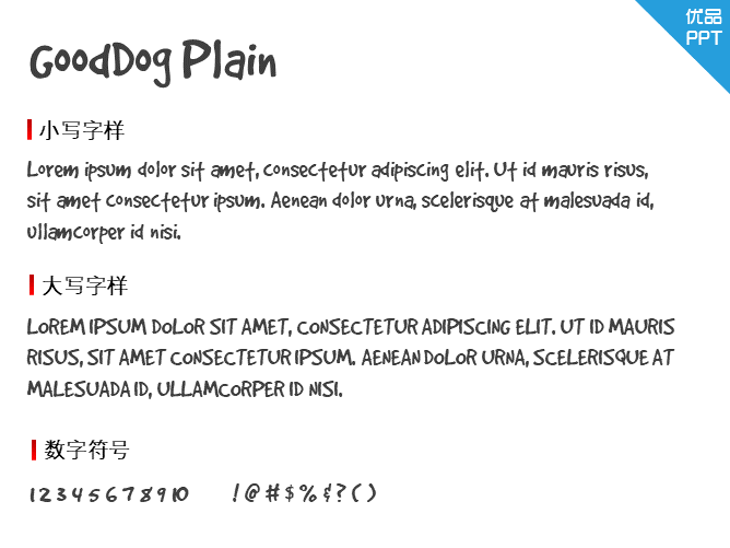 GoodDog Plain