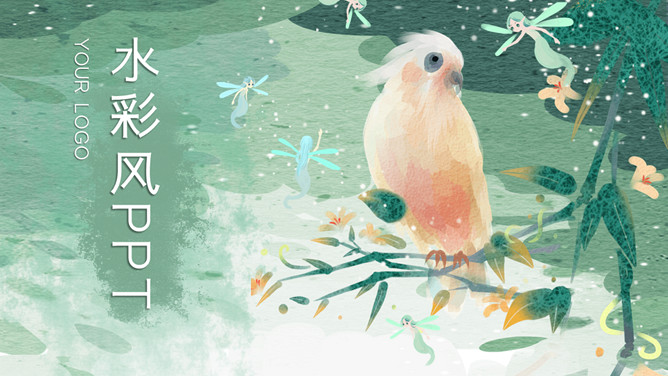 插画风水彩鹦鹉PPT模板