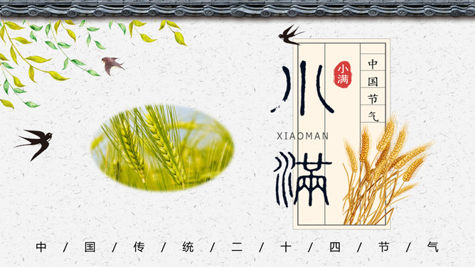 麦穗燕子小满节气PPT模板