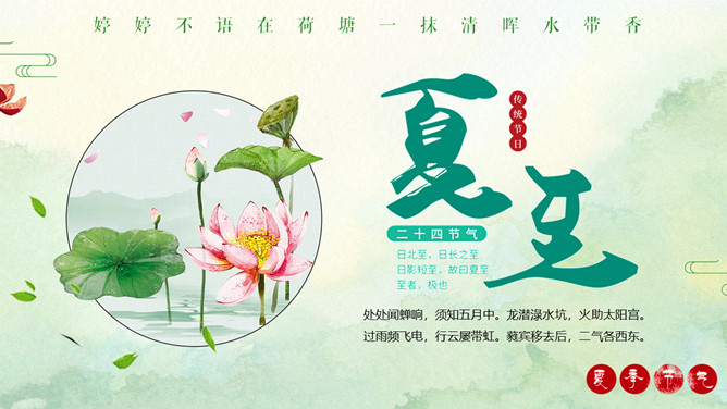荷花夏至节气介绍PPT模板