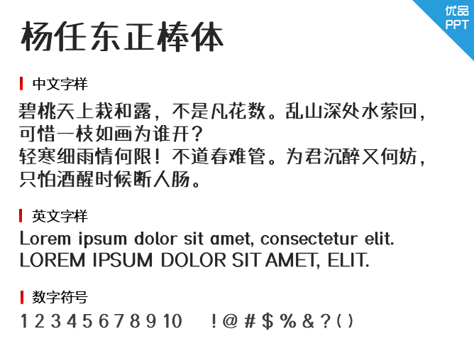杨任东正棒体